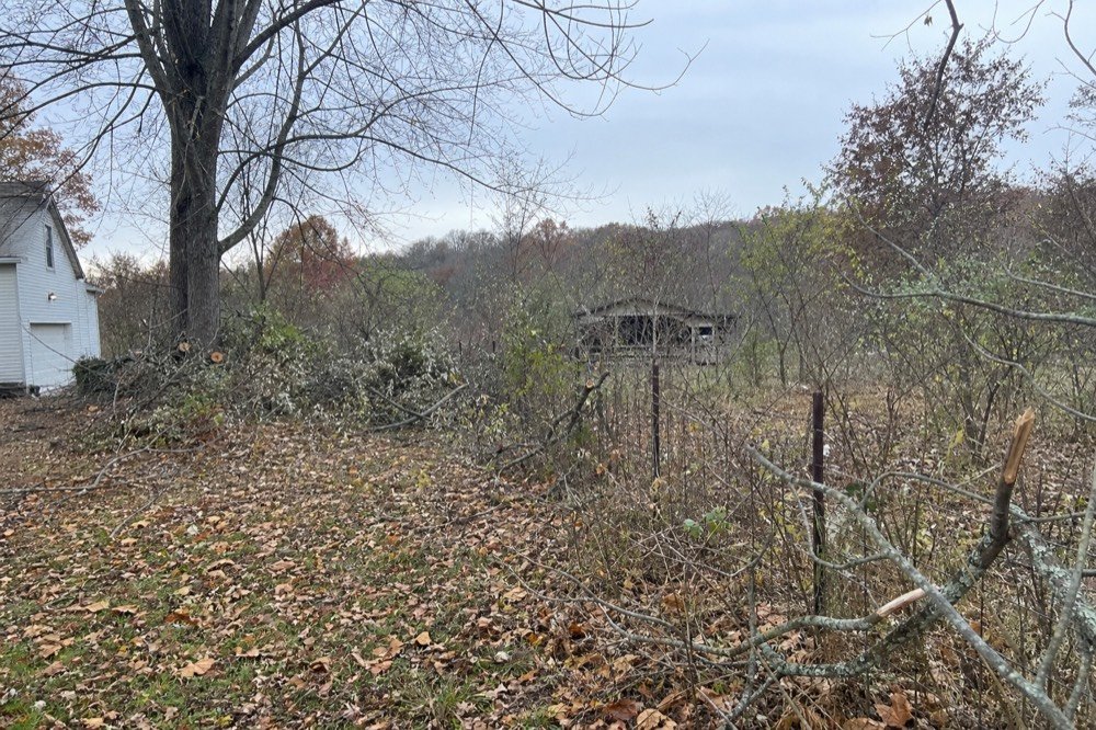yard & seasonal cleanup before — overgrown property near De Mossville, KY