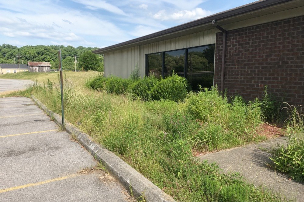 commercial grounds maintenance before — overgrown property near De Mossville, KY