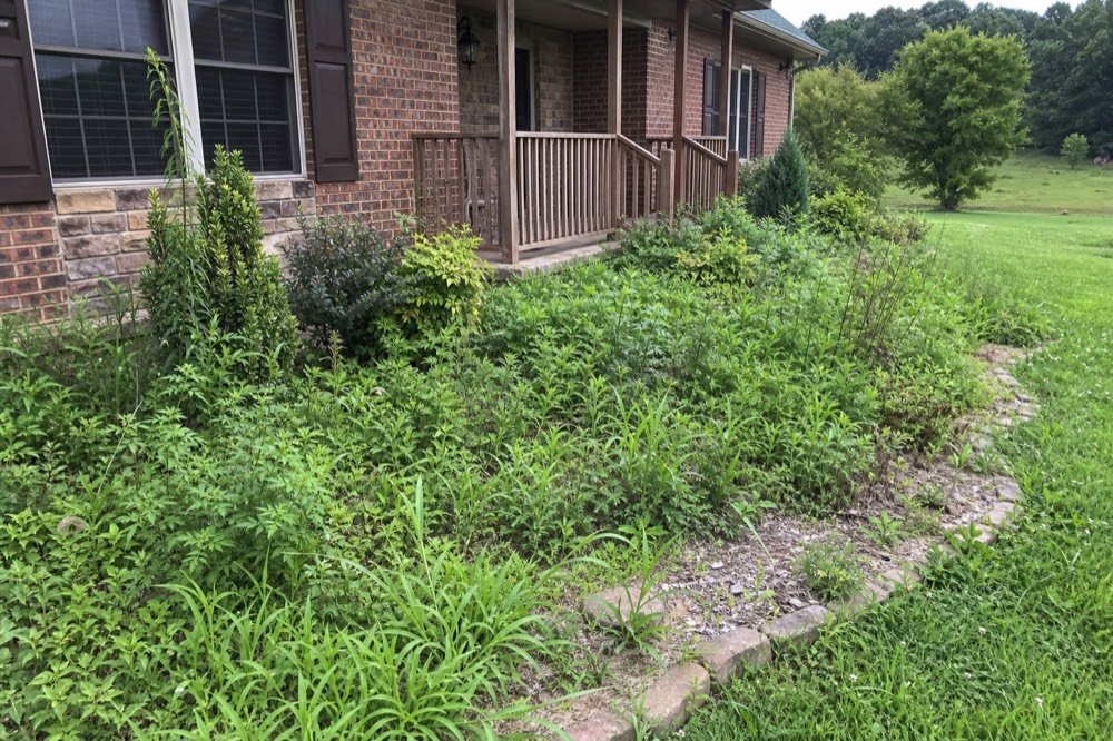landscaping & mulch beds before — overgrown property near De Mossville, KY