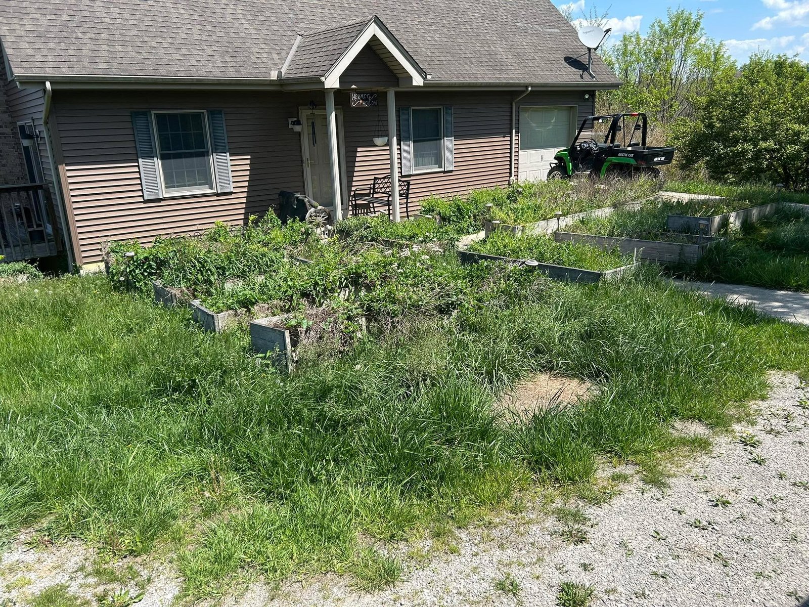 Overgrown property before lawn care and cleanup