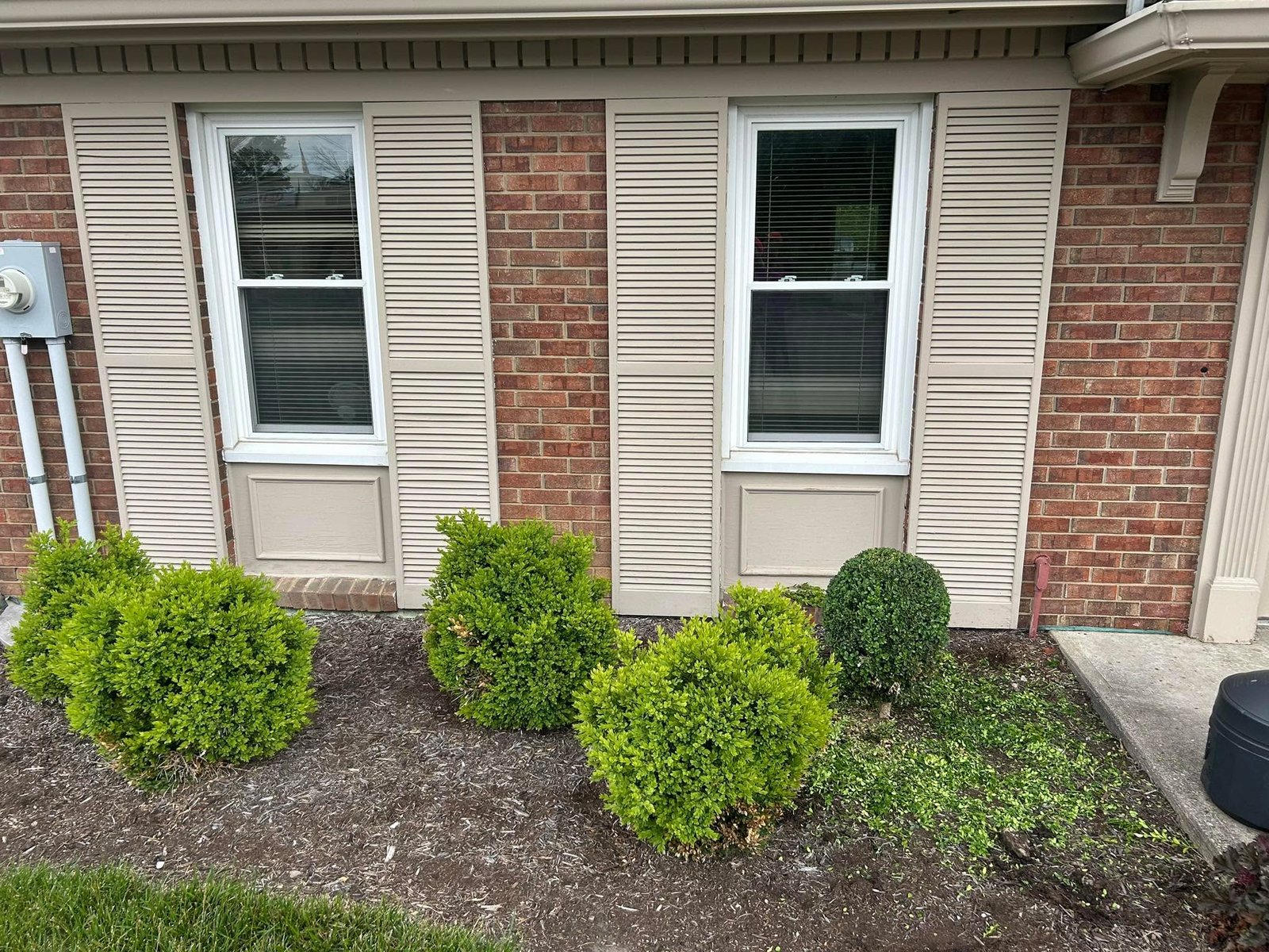 Lawn cleanup and rural property maintenance work near De Mossville, Kentucky