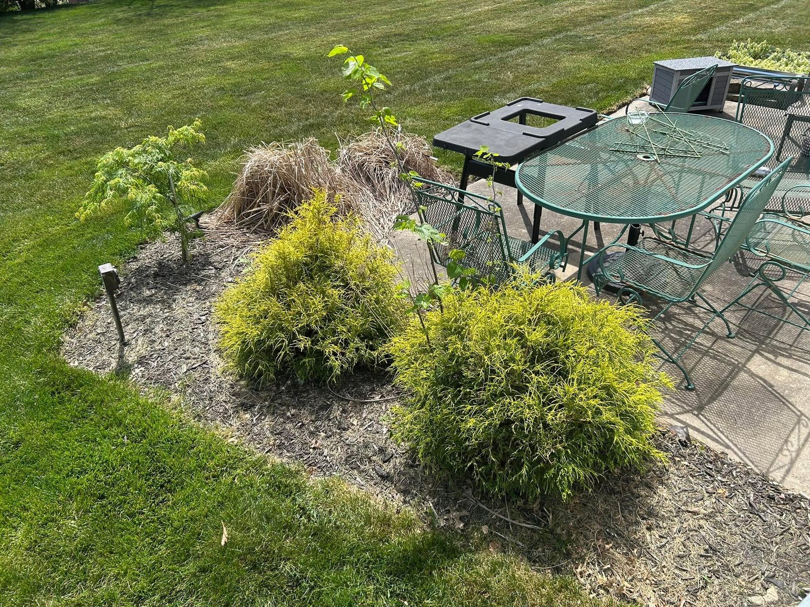 Yard cleanup, trimming, and mowing on a Kentucky property by Flanagan Rural Lawn Care