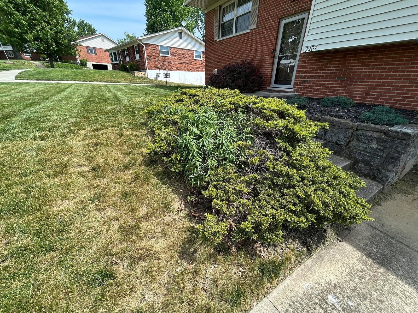 Flanagan Rural Lawn Care completed mowing and property cleanup near De Mossville, Kentucky
