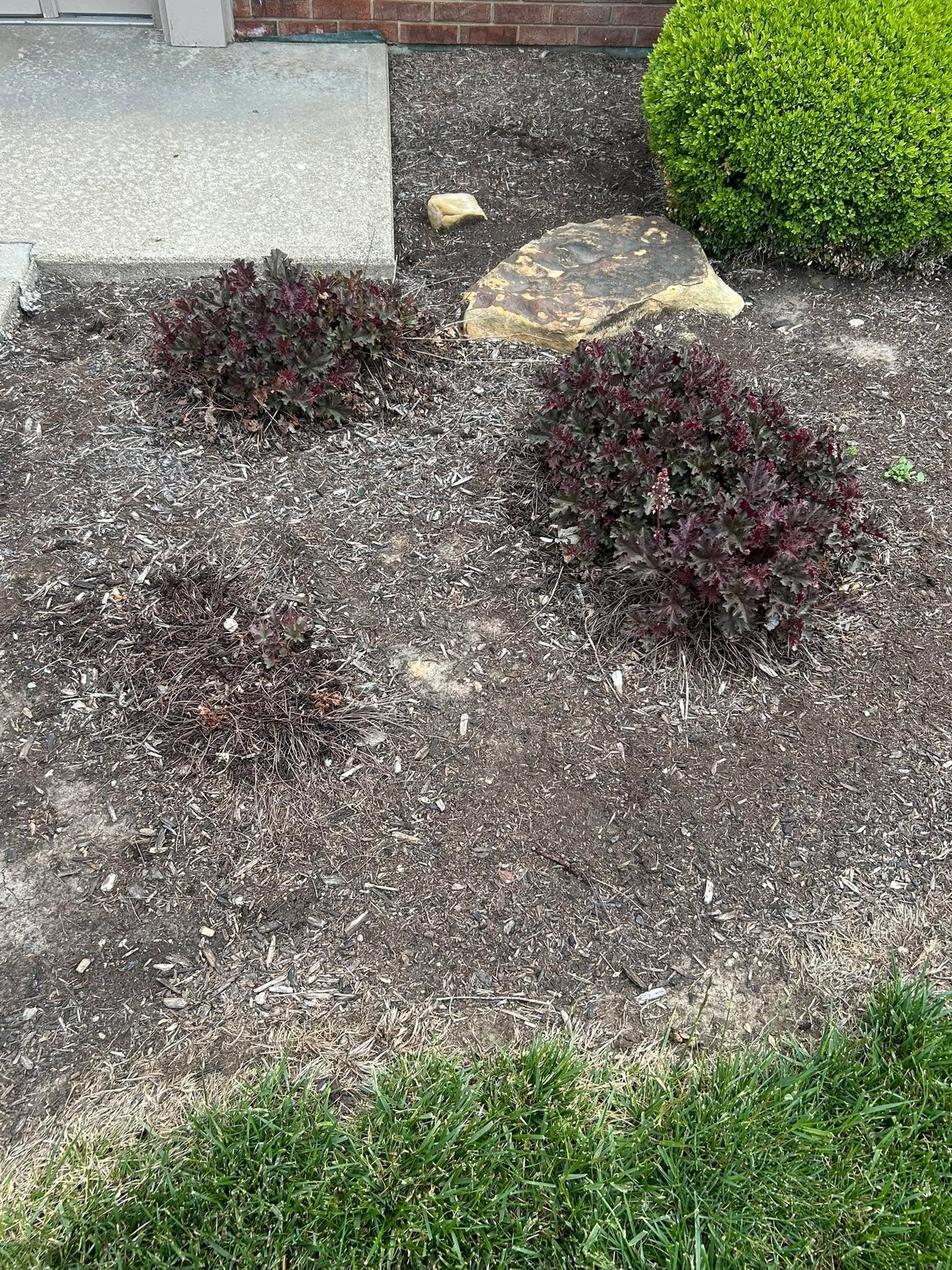 Commercial lawn care and grounds maintenance by Flanagan Rural Lawn Care